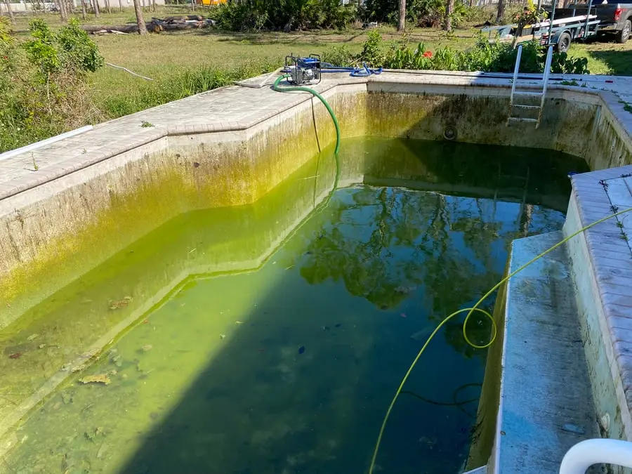 Green Pool Cleanup in Cape Coral